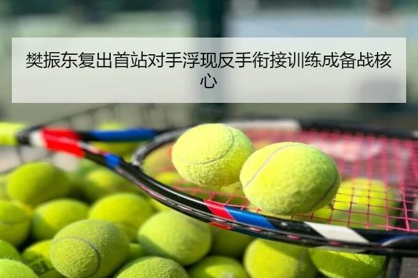 樊振东复出首站对手浮现反手衔接训练成备战核心