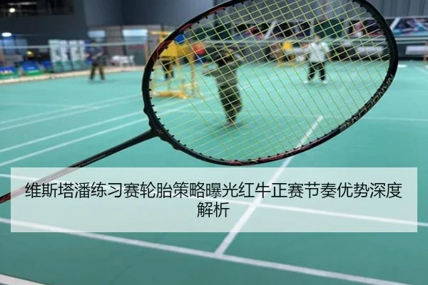 维斯塔潘练习赛轮胎策略曝光红牛正赛节奏优势深度解析
